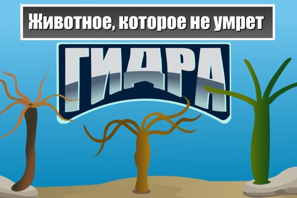 Можно ли восстановить аккаунт в кракен даркнет